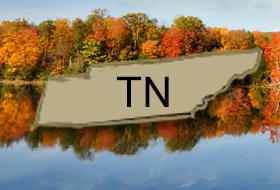Discover Tennessee